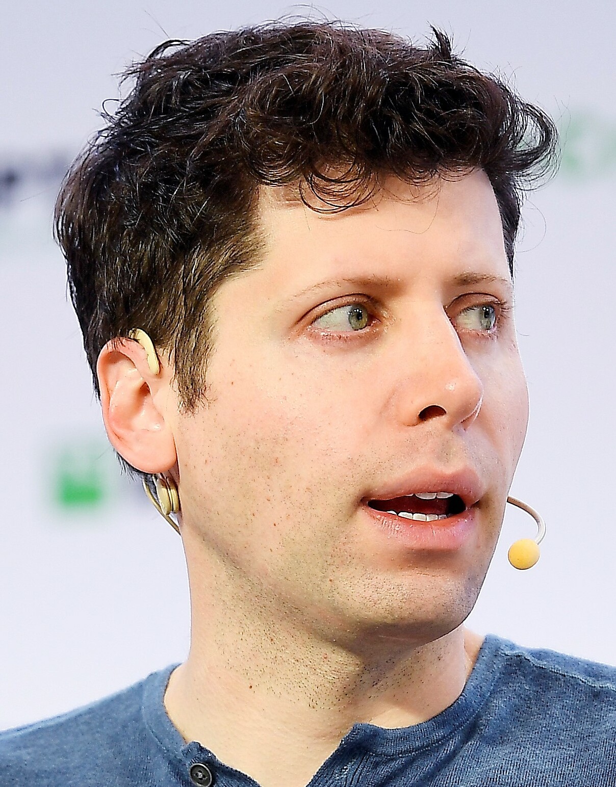 Sam Altman - Chat GPT Plus